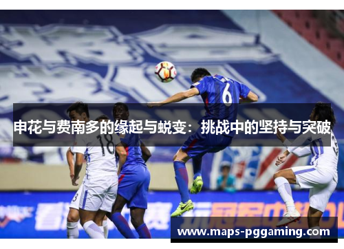 申花与费南多的缘起与蜕变：挑战中的坚持与突破